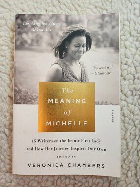 The Meaning of Michelle Veronica Chambers Paperback Picador 2018 Anthology